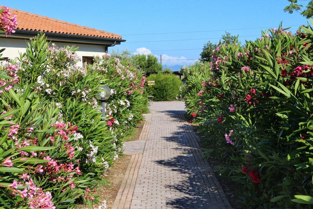 Agriturismo Gli Etruschi Популония Экстерьер фото