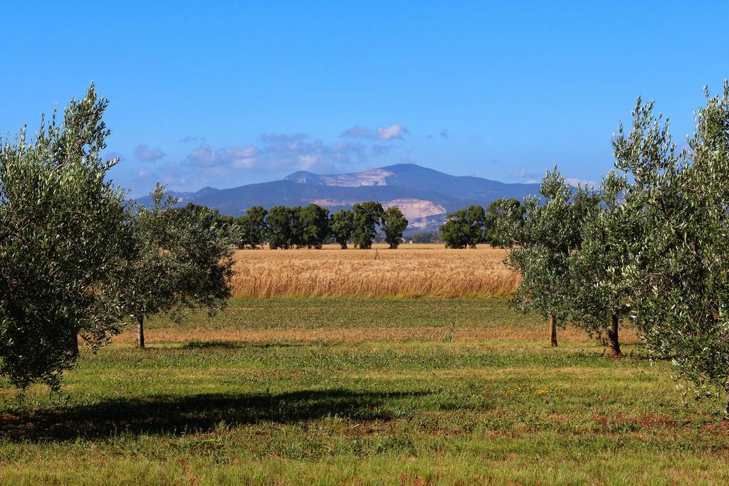 Agriturismo Gli Etruschi Популония Экстерьер фото
